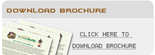 download Ayursiddha brochure